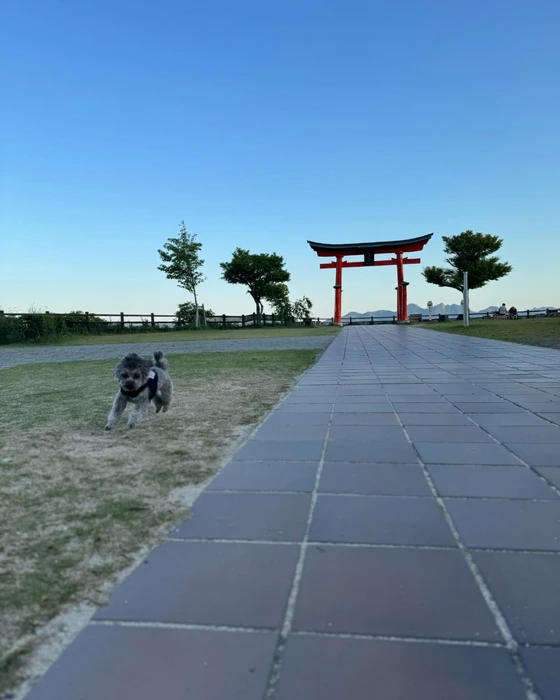 画像350