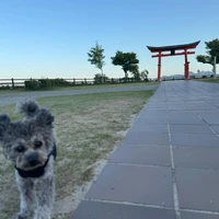 画像352