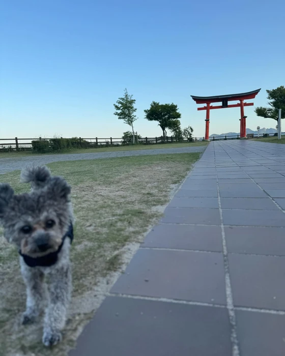 画像352