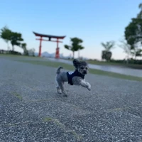画像353