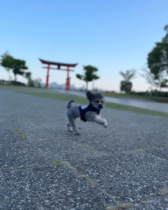 画像353