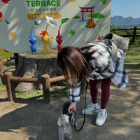 画像355