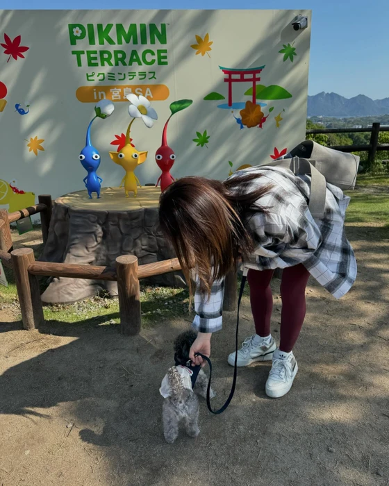 画像355